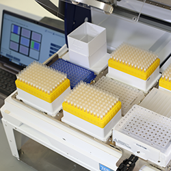 Smart Pipetting Without the Hidden Costs: How Gilson Tips and PIPETMAX® Workstations Simplify Lab Automation