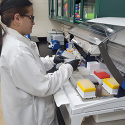Scaling Wildlife Genomics with Smarter Automation