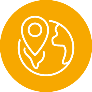 Global Network Icon
